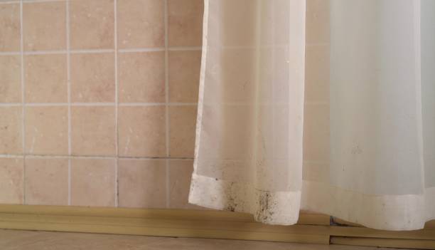 Best Commercial Mold Inspection  in South San Gabriel, CA