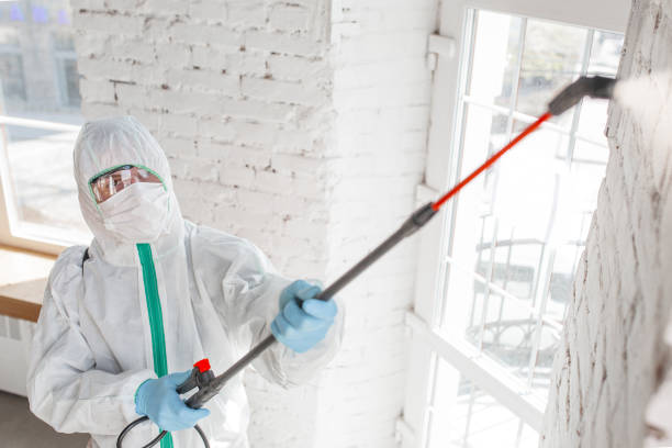 Best Comprehensive Air Testing for Mold Contaminants  in South San Gabriel, CA