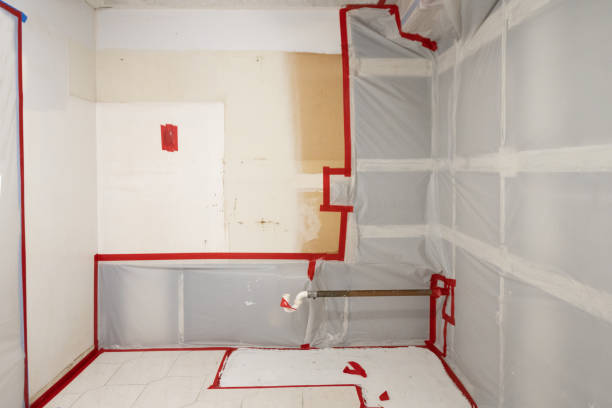 Best Water Damage & Mold Remediation  in South San Gabriel, CA