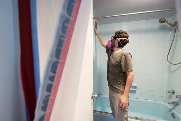 Best Mold Odor Removal Services  in South San Gabriel, CA