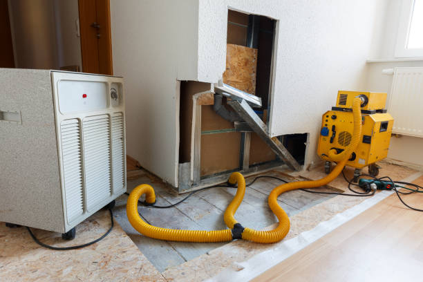 Best Attic Mold Removal  in South San Gabriel, CA