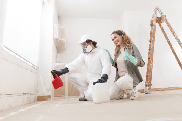 Environmental Consulting for Mold Prevention in South San Gabriel, CA